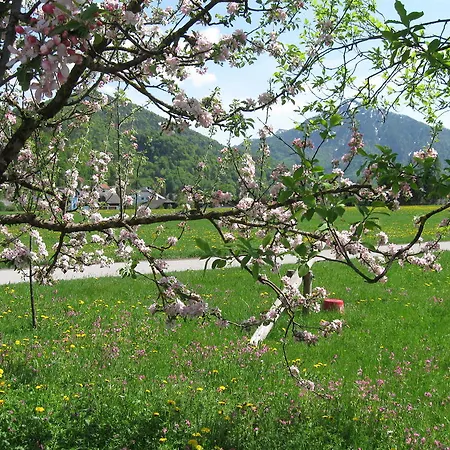 Waschlgut Ebenau