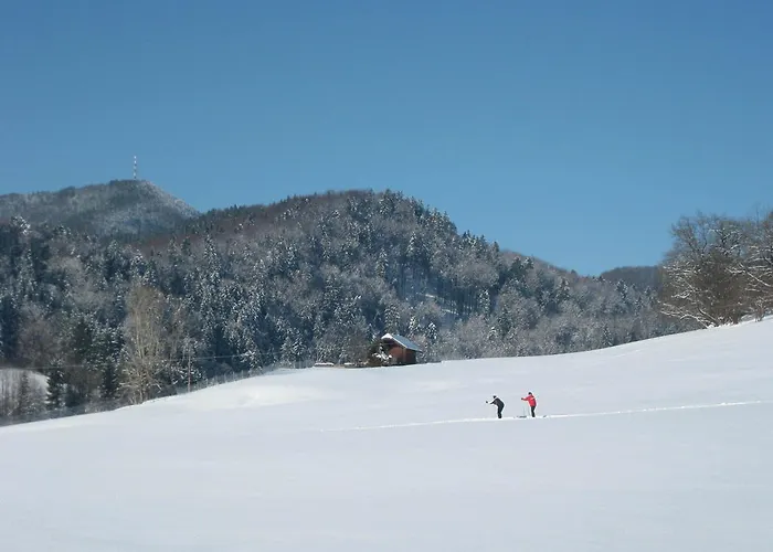 Waschlgut Эйбенау