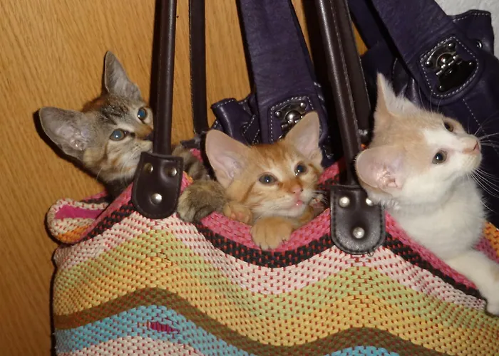 Guest house Waschlgut