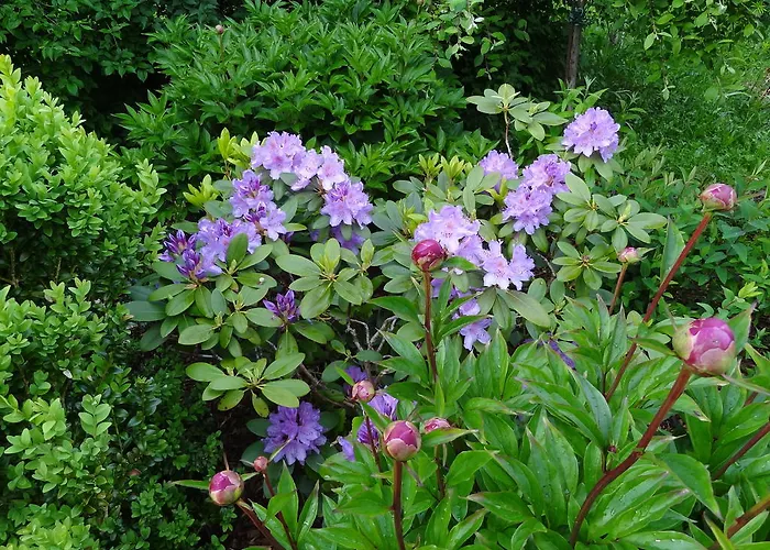 Guest house Waschlgut