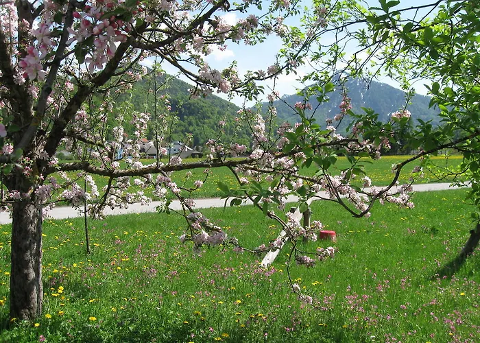 Waschlgut Эйбенау